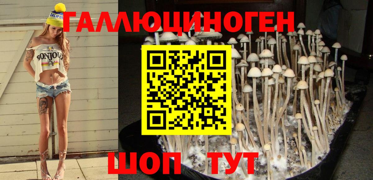 Псилоцибиновые грибы Cubensis  Галлюциногенные грибы MAGIC MUSHROOMS  Подольск  Вход с VPN 